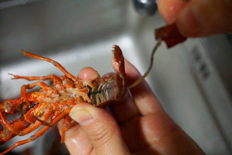 张玉宁9号球衣被抢!维特斯新前锋接过小张衣钵_xiongmao体育(图2) 熊猫体育