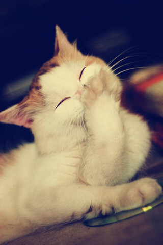 【panda sports】艾米连科训练方式或为亚洲大级别选手指明出路(图1) 熊猫体育