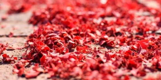 ‘panda sports’镇魂小说结局是啥 与电视剧结局有什么区别(图4) panda sports