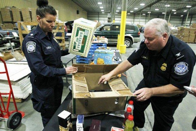 xiongmao体育|LOL忍者小队活动网址 跨大区组队共赢征战奖励(图1) 熊猫体育