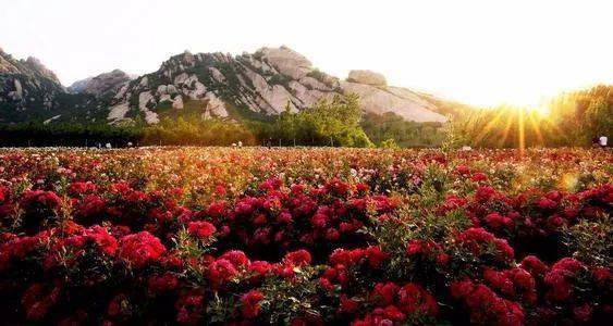 
男子有了这些体现 女人就别再联系了【panda sports】(图6)