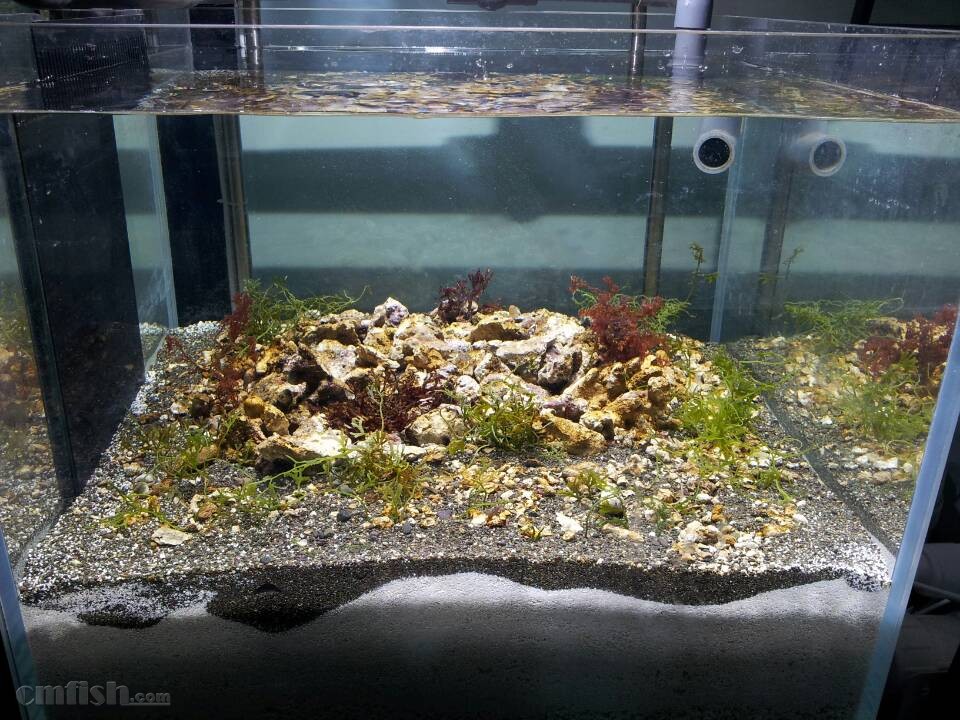 xiongmao体育-开发商或将为《地铁:逃离》加入最新改进版DLSS(图1) 熊猫体育