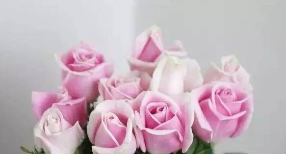 panda sports_
在外雷厉流行 资助丈夫赴汤蹈火；在家相夫教子的生肖女 有你吗(图1)