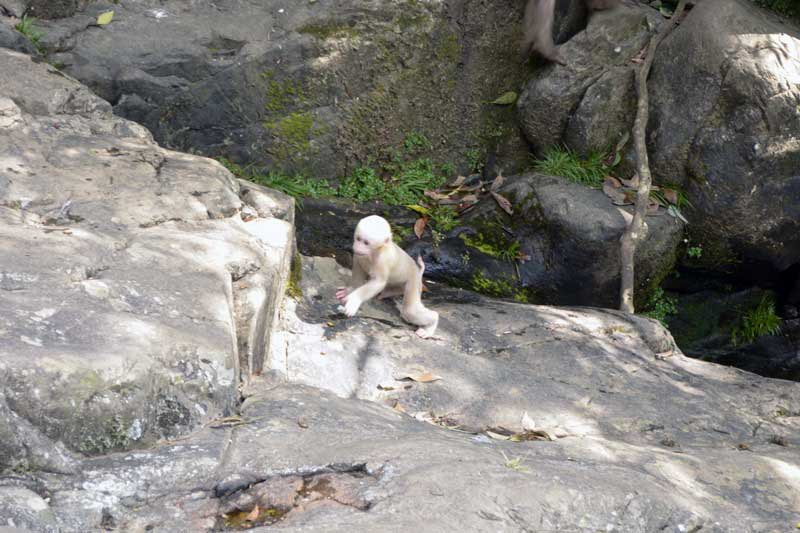 ‘panda sports’
ghost分区丢失只剩c盘怎么办?(图2) panda sports