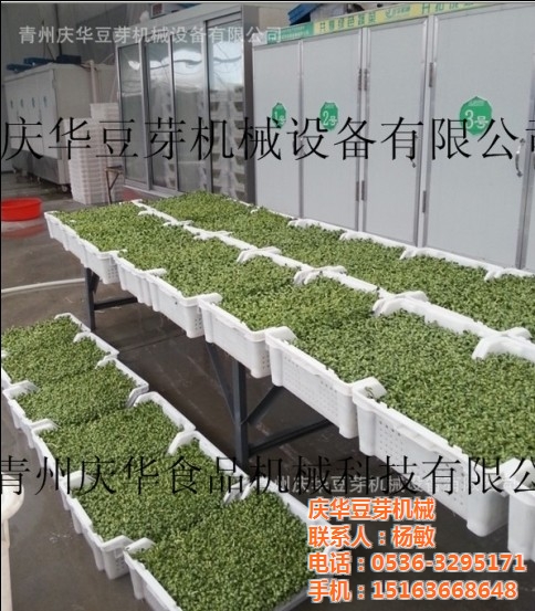 【xiongmao体育】阿森纳想要费莱尼(图1) 熊猫体育