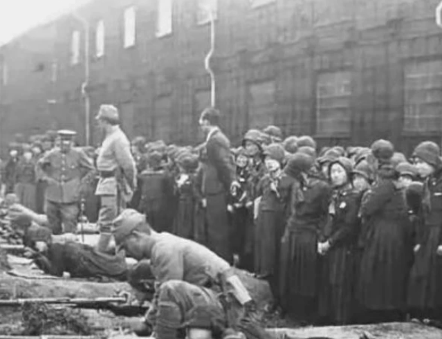 
二战时期的日本女人究竟有多“坏”？说出来你都纷歧定相信：xiongmao体育(图2)