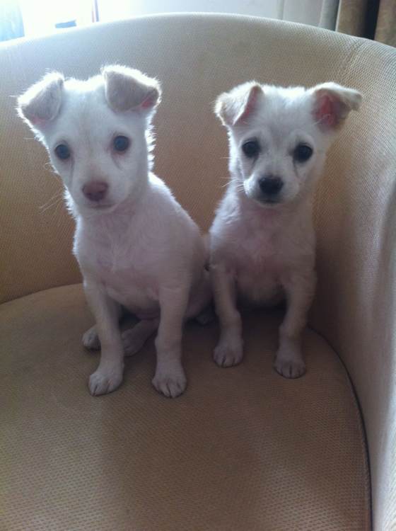 ‘panda sports’
为什么有些男子喜欢水性杨花的女人?(图2) 熊猫体育