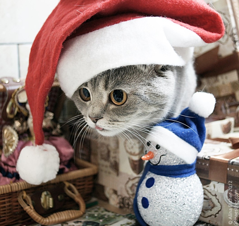 杯具!XboxOne防盗版措施比PS4更容易被破解【熊猫体育】(图1) 熊猫体育