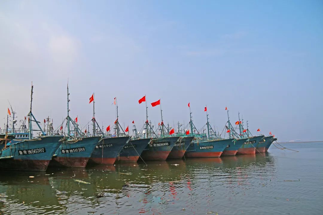 熊猫体育|洛瑞否认对猛龙不满(图3) 熊猫体育